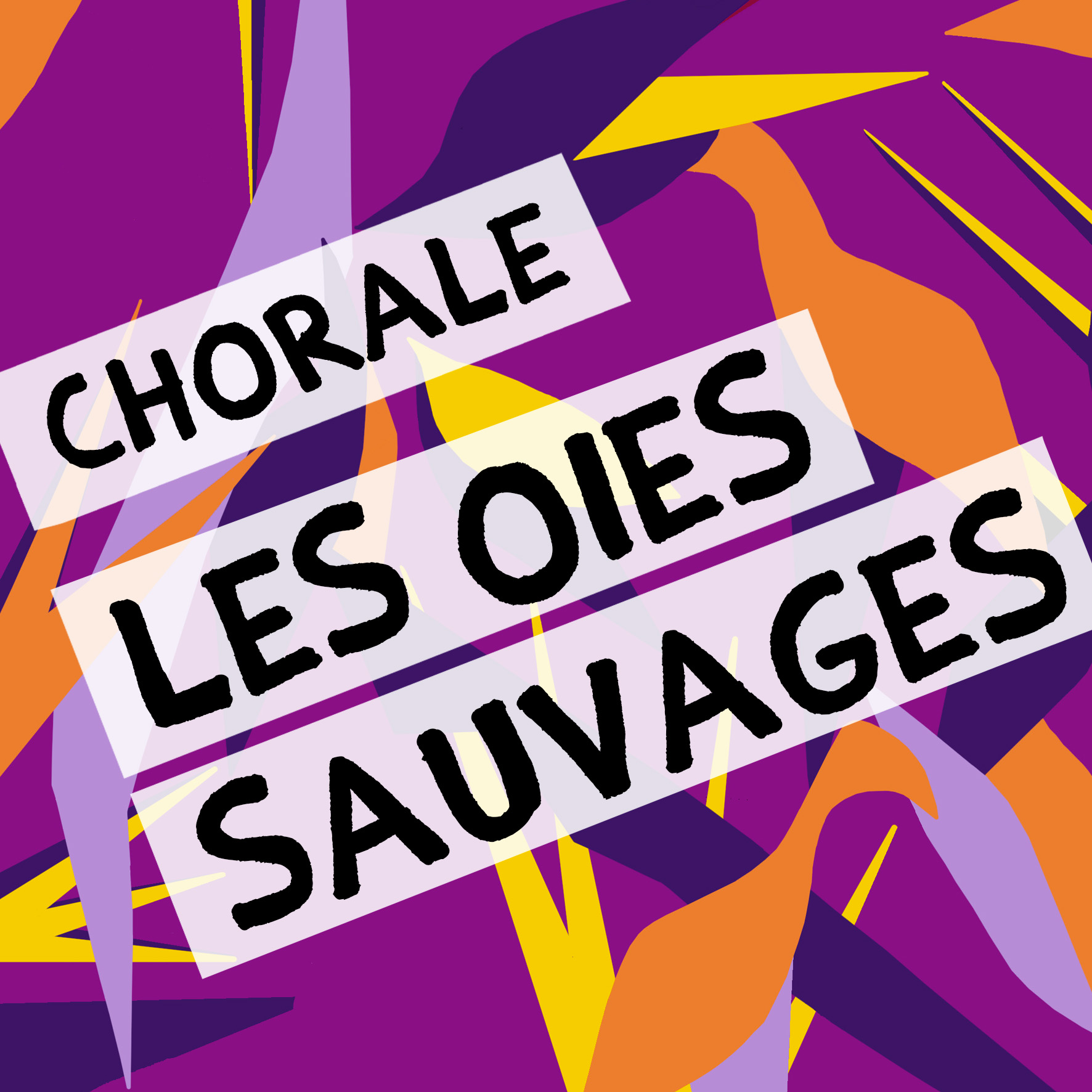 CHORALE_LES_OIES_SAUVAGES_sans_horaire